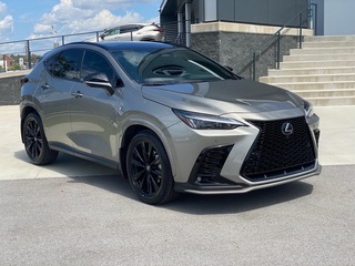 2024 Lexus NX 350 for sale in Chattanooga TN