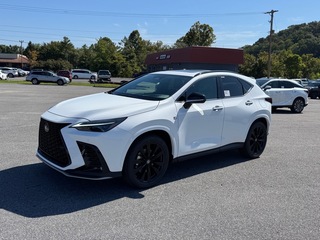 2026 Lexus NX 350 for sale in Kingsport TN