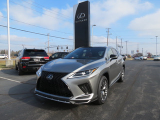 2020 Lexus RX 350 for sale in Toledo OH