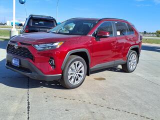 2025 Toyota RAV4 for sale in New Bern NC