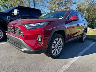 2023 Toyota RAV4 for sale in Greeneville TN