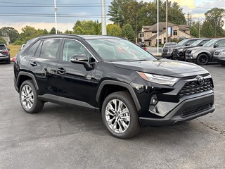2025 Toyota RAV4 for sale in Hendersonville NC