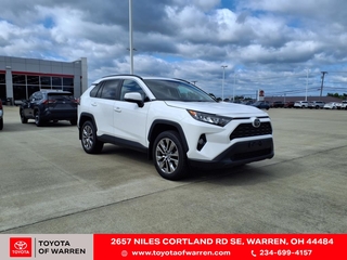 2019 Toyota RAV4 for sale in Warren OH