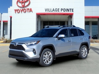 2025 Toyota RAV4 for sale in Elkhorn NE