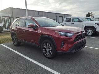 2022 Toyota RAV4 Hybrid for sale in Lynchburg VA