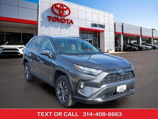 2024 Toyota RAV4 Hybrid for sale in Kirkwood MO
