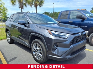 2023 Toyota RAV4 for sale in Myrtle Beach SC