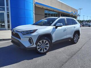 2023 Toyota RAV4 for sale in Gallatin TN