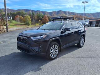 2024 Toyota RAV4 for sale in Pounding Mill VA