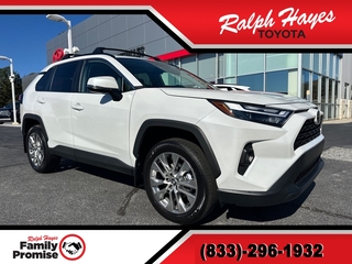 2025 Toyota RAV4 for sale in Anderson SC