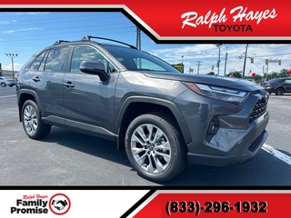 2025 Toyota RAV4 for sale in Anderson SC