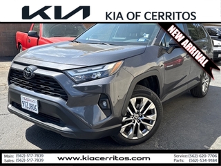 2023 Toyota RAV4