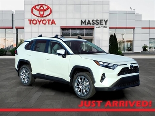 2025 Toyota RAV4 for sale in Kinston NC