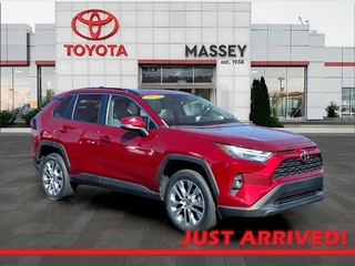 2023 Toyota RAV4 for sale in Kinston NC