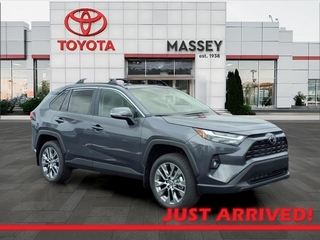 2025 Toyota RAV4