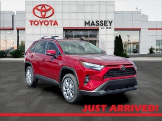 2025 Toyota RAV4 for sale in Kinston NC