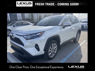 2025 Toyota RAV4 for sale in Chattanooga TN