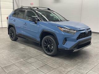 2024 Toyota RAV4 Hybrid for sale in Murray KY