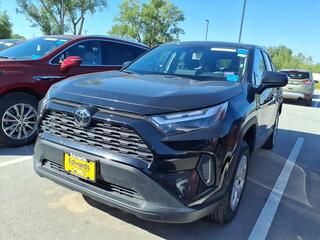 2024 Toyota RAV4 for sale in Council Bluffs IA
