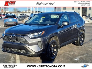 2023 Toyota RAV4 for sale in Florence KY