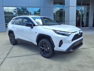 2025 Toyota RAV4 for sale in New Bern NC