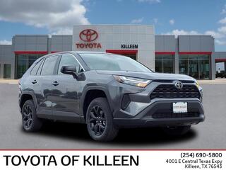 2025 Toyota RAV4 for sale in Killeen TX