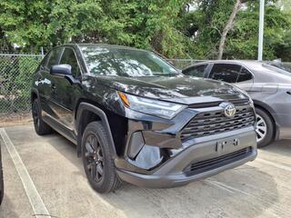 2025 Toyota RAV4 for sale in Conroe TX