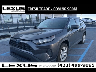 2021 Toyota RAV4 for sale in Chattanooga TN