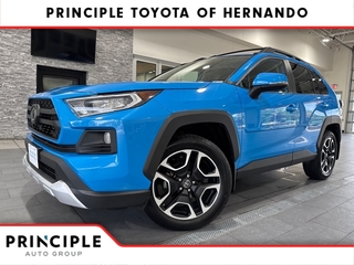 2019 Toyota RAV4 for sale in Hernando MS