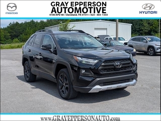 2024 Toyota RAV4 for sale in Cleveland TN