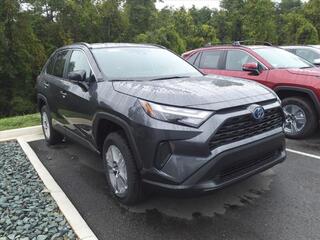 2024 Toyota RAV4 Hybrid for sale in Lynchburg VA