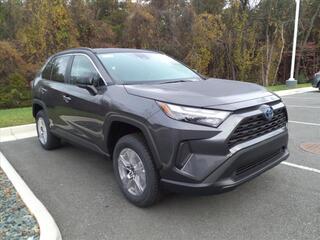 2024 Toyota RAV4 Hybrid for sale in Lynchburg VA