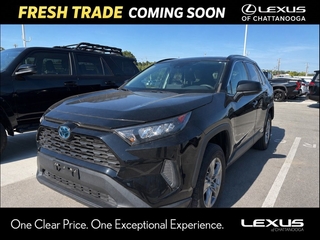 2022 Toyota RAV4 Hybrid for sale in Chattanooga TN
