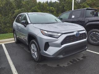 2024 Toyota RAV4 Hybrid for sale in Lynchburg VA