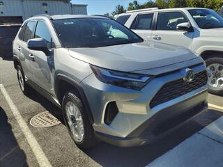 2024 Toyota RAV4 Hybrid for sale in Lynchburg VA