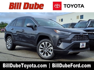 2025 Toyota RAV4