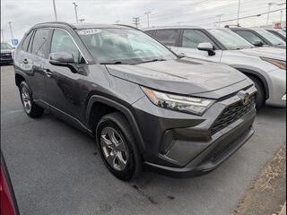 2023 Toyota RAV4 for sale in Bowling Green KY