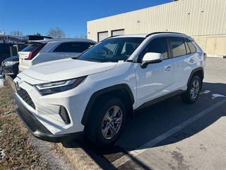 2023 Toyota RAV4 for sale in Greeneville TN