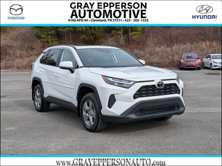 2023 Toyota RAV4 for sale in Cleveland TN