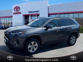 2023 Toyota RAV4 for sale in Kingsport TN