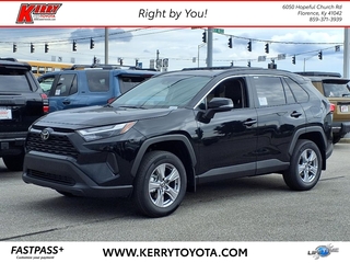 2025 Toyota RAV4 for sale in Florence KY
