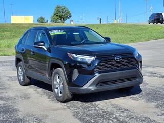 2024 Toyota RAV4 for sale in Excelsior Springs MO