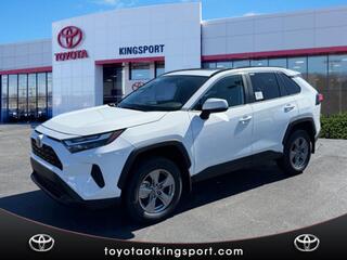 2025 Toyota RAV4 for sale in Kingsport TN