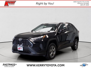 2024 Toyota RAV4 for sale in Florence KY