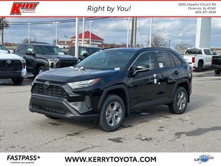 2025 Toyota RAV4 for sale in Florence KY