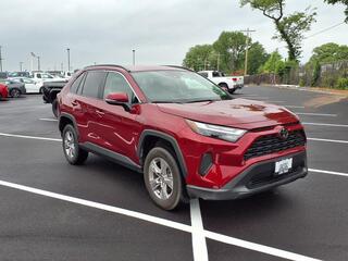 2025 Toyota RAV4 for sale in Kirkwood MO