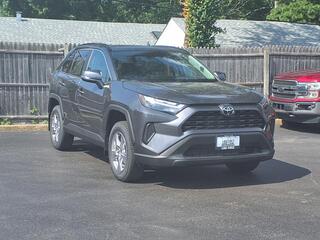 2025 Toyota RAV4 for sale in Kirkwood MO