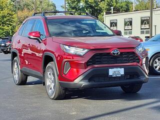 2025 Toyota RAV4 for sale in Kirkwood MO