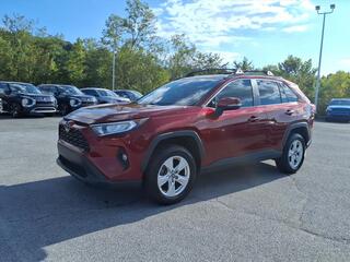 2019 Toyota RAV4 for sale in Kingsport TN