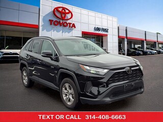 2025 Toyota RAV4 for sale in Kirkwood MO